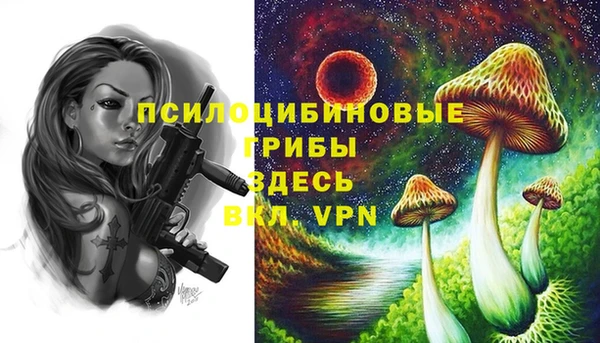 соль курить ск Горняк