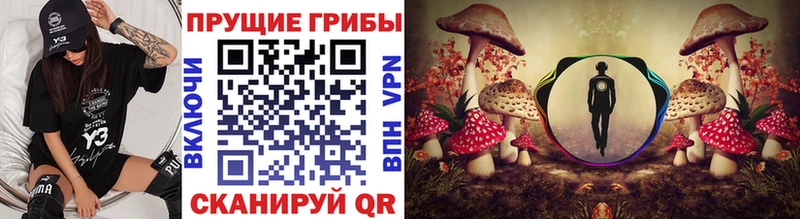 Галлюциногенные грибы Psilocybine cubensis мега онион Кириллов